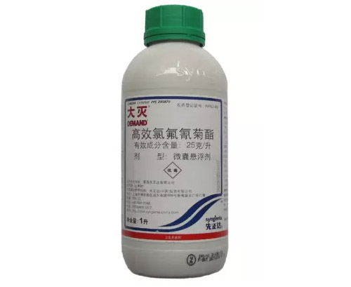 大（dà）滅（miè）