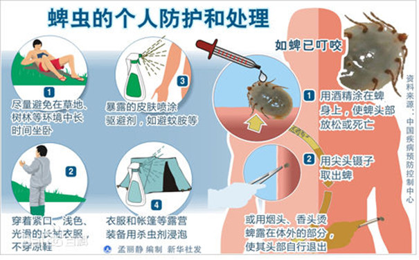 蜱蟲咬後(hòu)症狀似“感(gǎn)冒”,請引起十二萬分警惕!