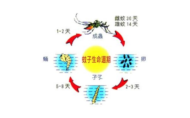 滅蟲公司