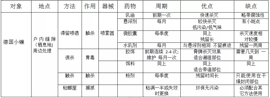 另人聞風喪膽的德國(guó)小蠊,如何科學(xué)地消滅它