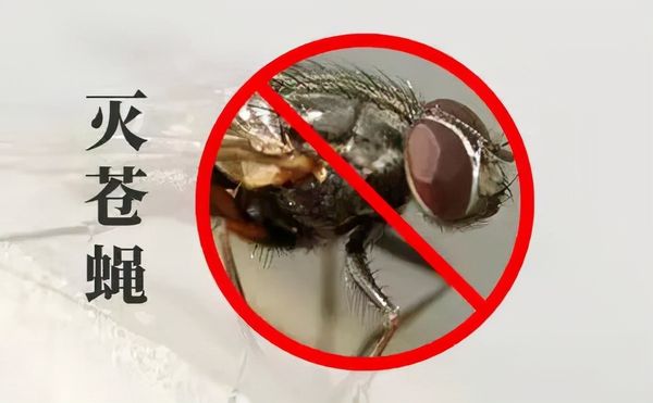 小(xiǎo)區滅四害,有哪些潛在(zài)因素?